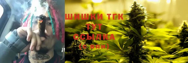 соль ск Горнозаводск