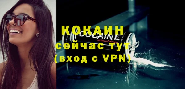 спиды Горняк