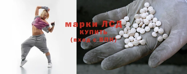 спиды Горняк