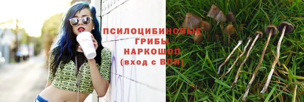 2c-b Гусев