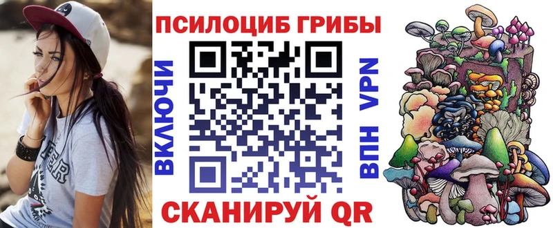 Псилоцибиновые грибы GOLDEN TEACHER  Купить  Кубинка 